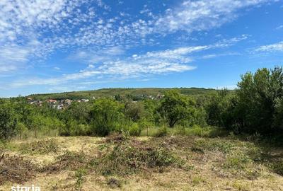 Teren de 950 mp, în Borhanci - 3