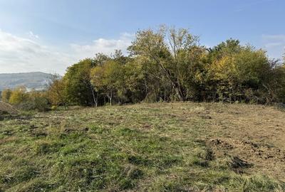 Teren de 1500 mp, în Băiculești - 3
