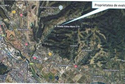 Casa si teren Valea Mare Podgoria, cota 1/2 , ID: R2618541 - 3