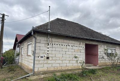 Casă cu 2 camere în Tarcea - 3