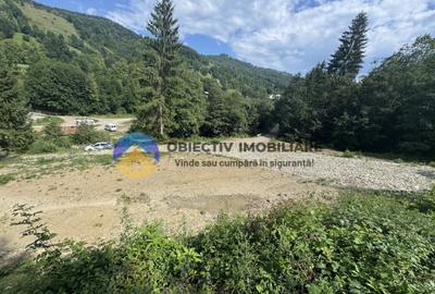 Teren cu o locatie de vis in Pangarati 53 m deschidere la st - 5