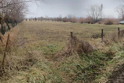 Teren de 3500 mp, în Culcea - 1