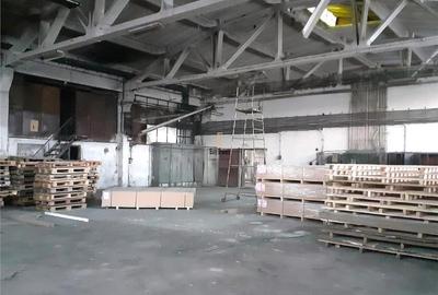 Spatiu Industrial - 1350 mp - Productie - Depozitare - Distributie - 28