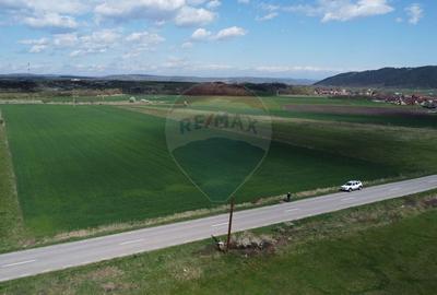 Teren Construcții extravilan de 8600 mp, în Luna de Jos - 20