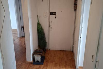 4 camere Banat , Decomandat / Centrală , Amplasament DEOSEBIT - 12