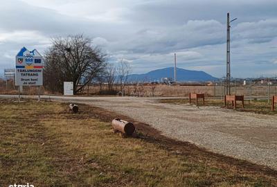 Teren de 9000 mp, în Est - 3