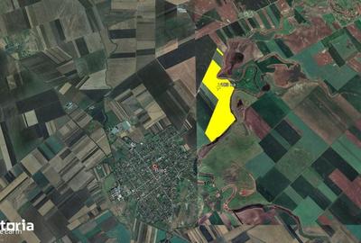 Teren de 1030000 mp, în Biled