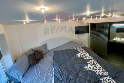Apartament modern la Ared Uta - 3