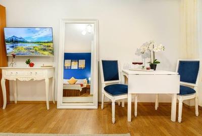 Studio superb de inchiriat, 7 minute metrou Dristor - 8