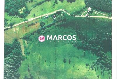 Teren Construcții extravilan de 3465 mp, în Sud - 1