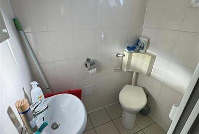 Spatiu Comercial ,ZONA Centura,E 85,Auto Sima,420 mp - 28