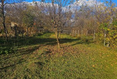 Exclusivitate! Casă cu teren generos în Sat Olteni, Com.Teișani - 12