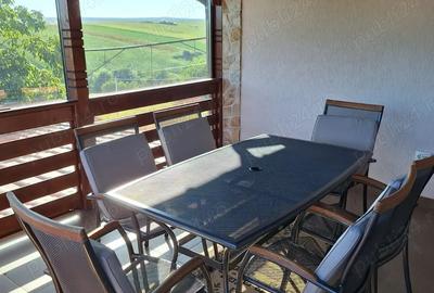 Vanzare Casa Vila Catamaresti-Deal, Botosani - 4