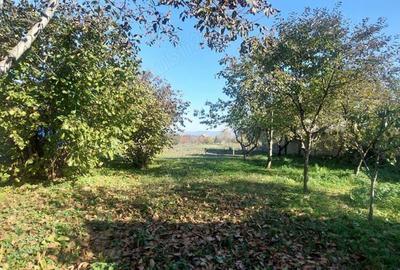 Casa solida saseasca + 2500mp teren, Bod Casa solida saseasca + 2500mp teren, Bod - 3