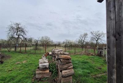 Casă cu Teren 4636 Mp în Central - 4