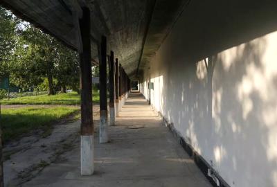 Oportunitate unică de investiție in inima Deltei Dunarii - 10