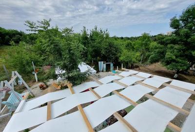 Casa cu teren 1500 mp Olimp Neptun Mangalia - 2