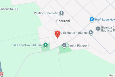 Teren Construcții intravilan de 780 mp, în Pădureni (Jebel) - 1