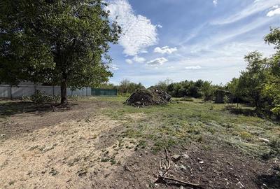 Casă cu 3 camere cu Teren 1230 Mp în Sălard - 10