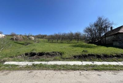Teren de 2250 mp, în Aluniș - 3