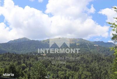 Teren de 278 mp, în Central