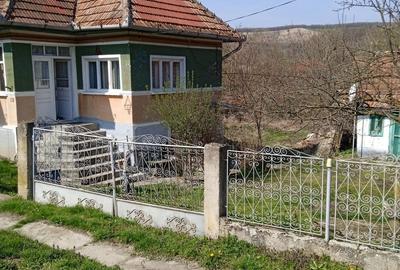 Casă cu 2 camere în Ozd - 9