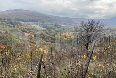 Teren de 787 mp, în Central - 4