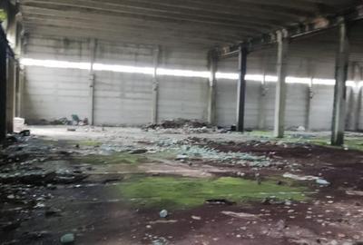 Spațiu industrial, de 4,900 mp, în Mitreni - 6