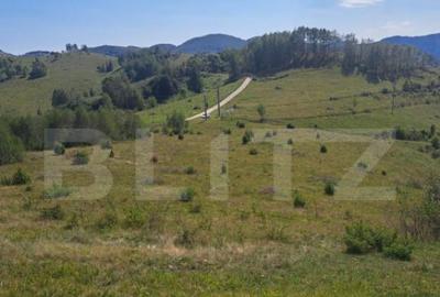 Teren extravilan 4.604 mp cu curent ideal pentru cabana - 2