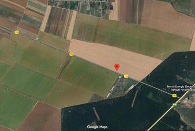 Teren extravilan Varvoru de Jos, jud Dolj - 9