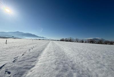 Teren intravilan Rasnov,judet Brasov,loturi de 500 mp si in rate - 15