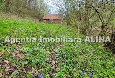 Teren de 9500 mp, în Nojag - 13