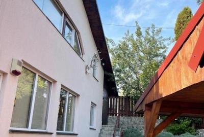 Cabana cu 4 dormitoare, foisor, ciubar, Statiunea Muntele Ba - 9