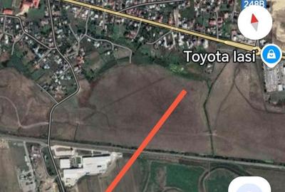 Teren de 5000 mp, în Lețcani - 2