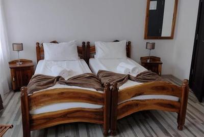 Pensiune in mijlocul naturii!! - 20