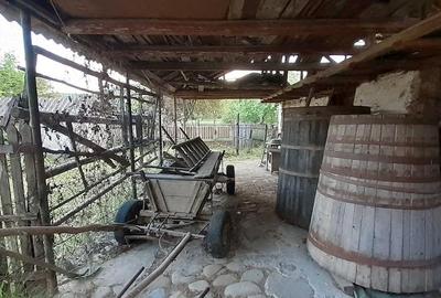 Casă cu 5 camere cu Teren 4500 Mp în Bâscenii de Sus - 4