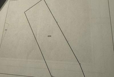 Casă cu 2 camere cu Teren 1422 Mp în Dobrotu - 2