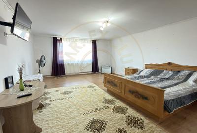 Casă individuală cu 2 camere cu Canalizare în Carei - 7