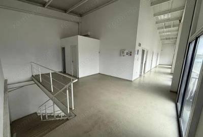 Spațiu comercial, de 2,350 mp, în Mogoșoaia - 14