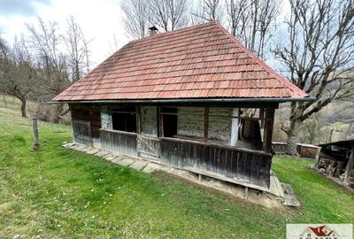 Casa de vanzare in Muntii Apuseni cu 17.596 mp teren - 3