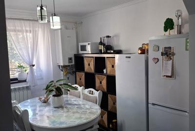 Apartament cu 2 camere semidecomandat în Paltin - 2