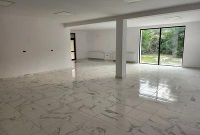 Spațiu comercial, de 450 mp, în Stejaru (Farcașa) - 5