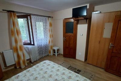 Pensiune turistica (afacere la cheie) Lepsa - 28