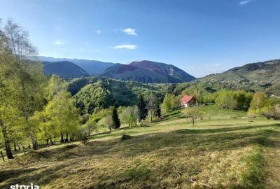 Teren de 11048 mp, în Moieciu - 3