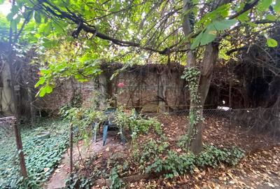 Vila renovabila Calea Victoriei - Vernescu Vila renovabila Calea Victoriei - Vernescu - 3