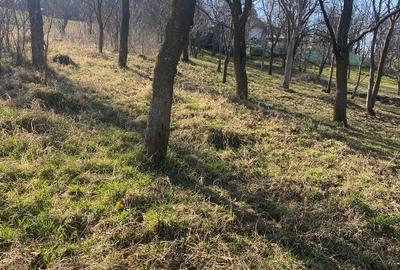 Teren Construcții intravilan de 2100 mp, în Feiurdeni - 4