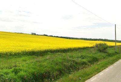 Teren agricol 64 ha comasat| Deschidere 800 m la drum comunal | Utilitati dispon - 1