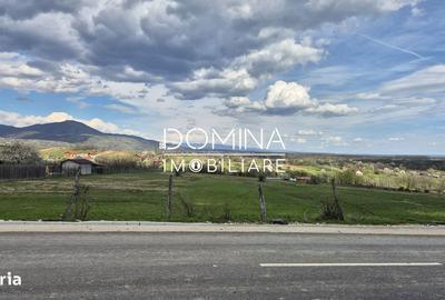 Teren de 2500 mp, în Runcu - 7