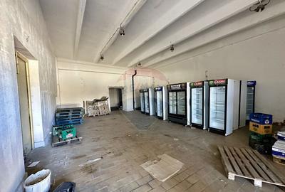 Hale Brailei Plus Frig - 3