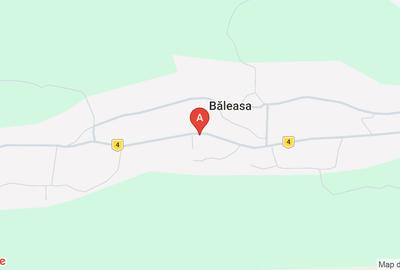 Casă cu 3 camere cu Teren 7300 Mp în Băleasa - 1